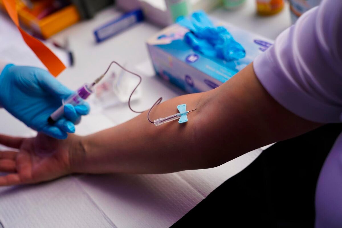 A gloved phlebotomist drawing blood from a patient&rsquo;s arm with a butterfly needle
